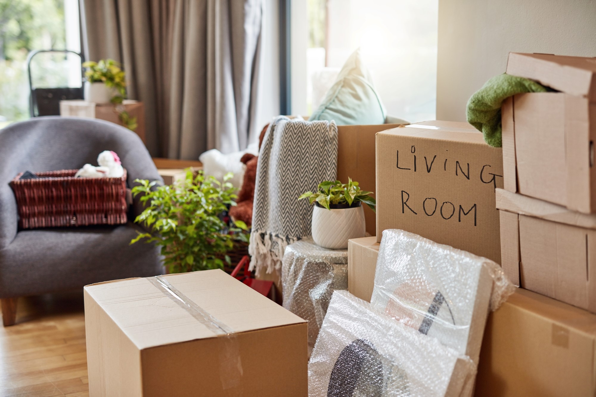 Storage unit size 1 bedroom apartment